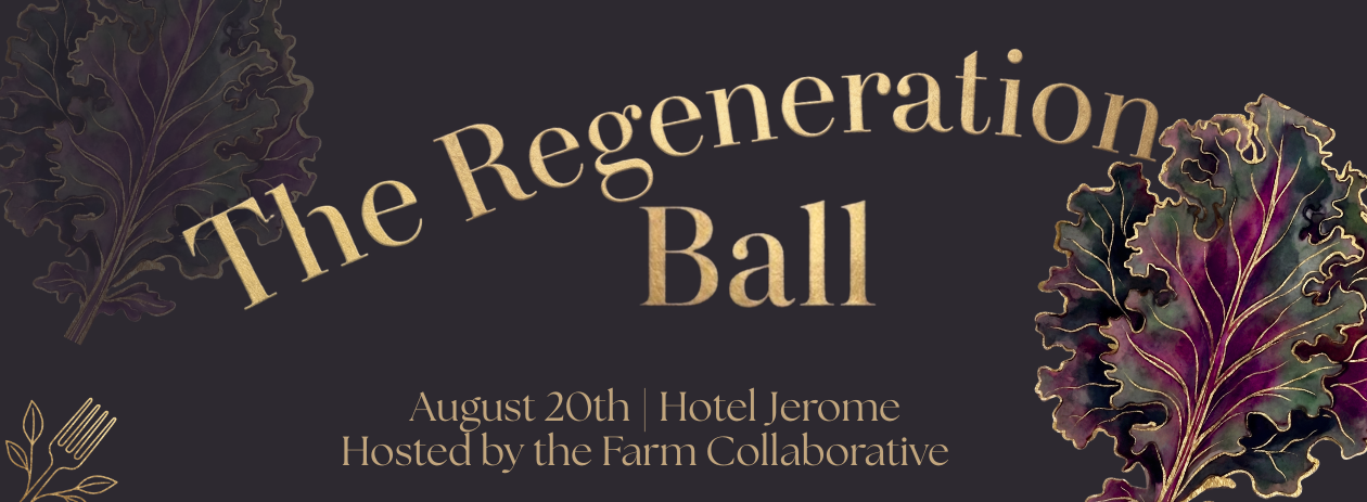 2026 Regeneration Ball